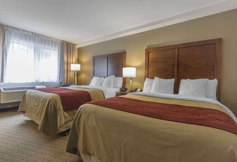 Отель Comfort Inn