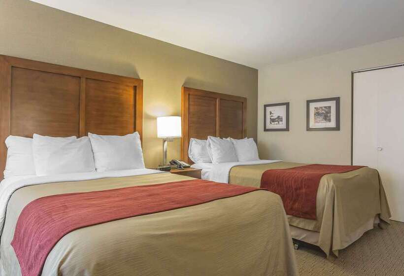 Отель Comfort Inn