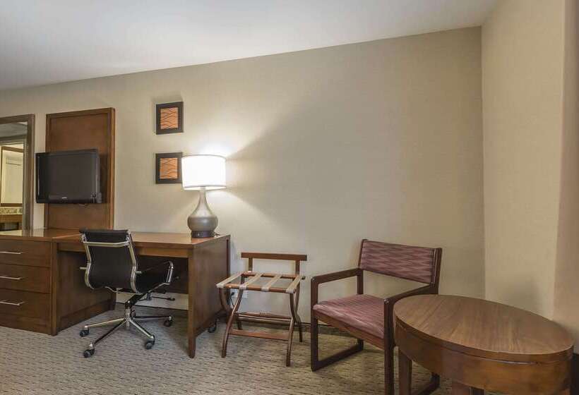 Отель Comfort Inn