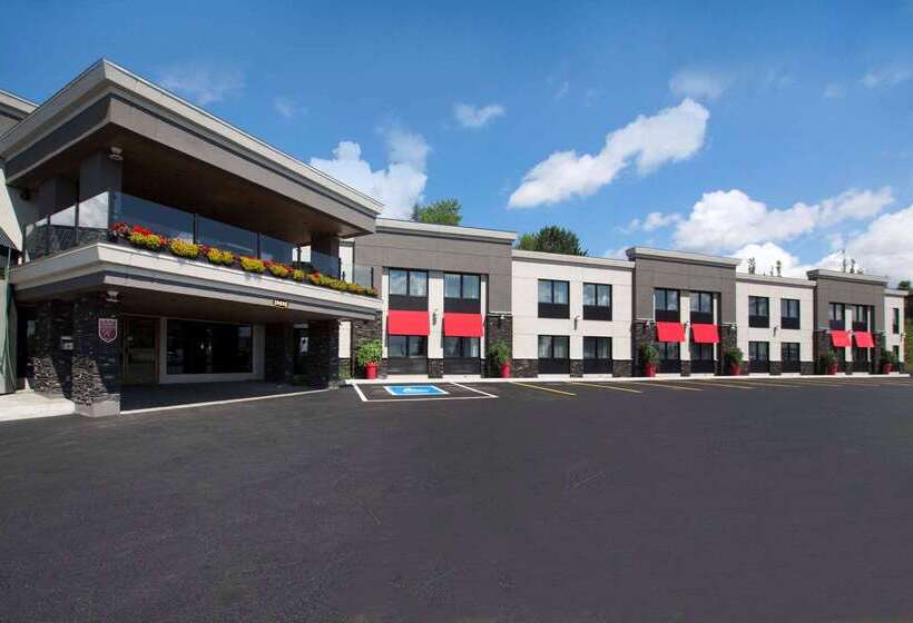 Отель Comfort Inn