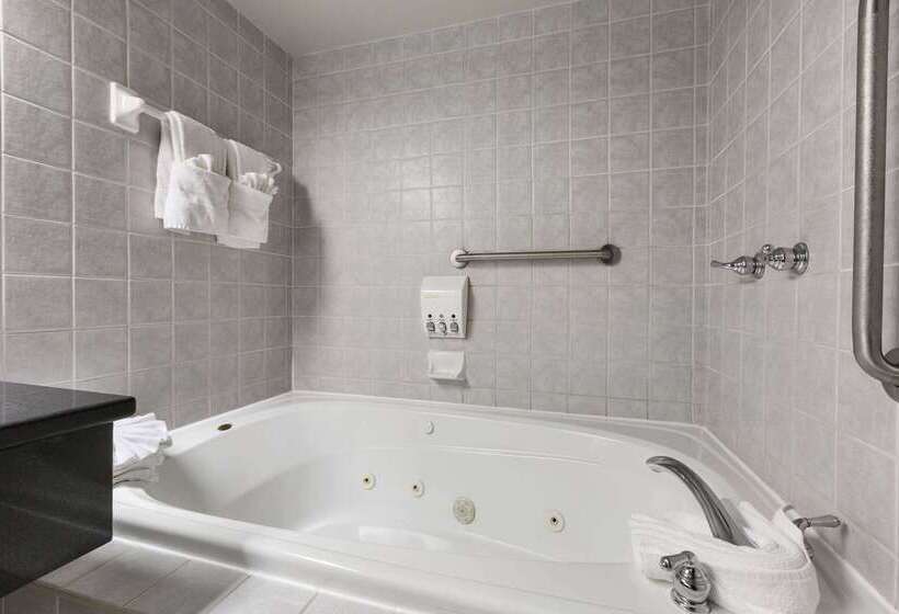 호텔 Days Inn By Wyndham Ottawa West