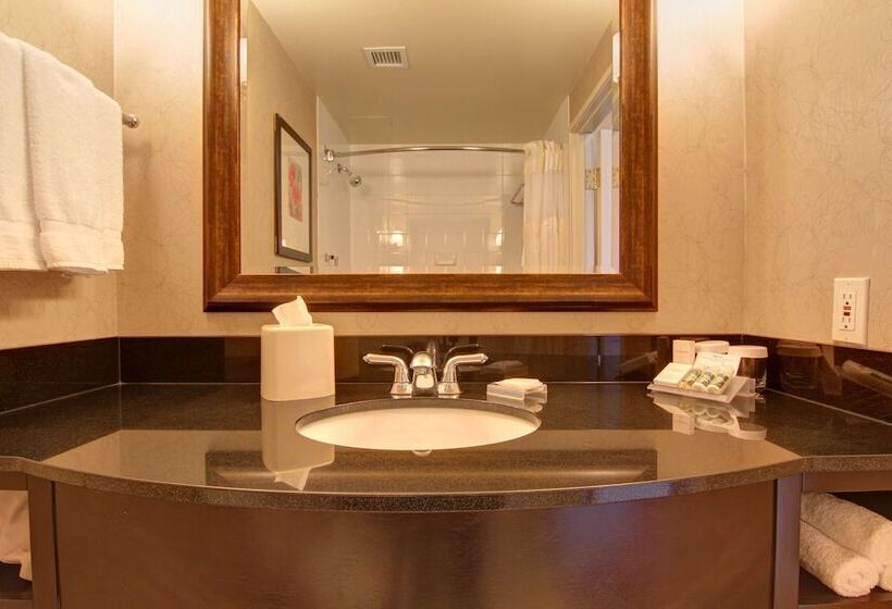 בית מלון כפרי Hilton Garden Inn Calgary Airport