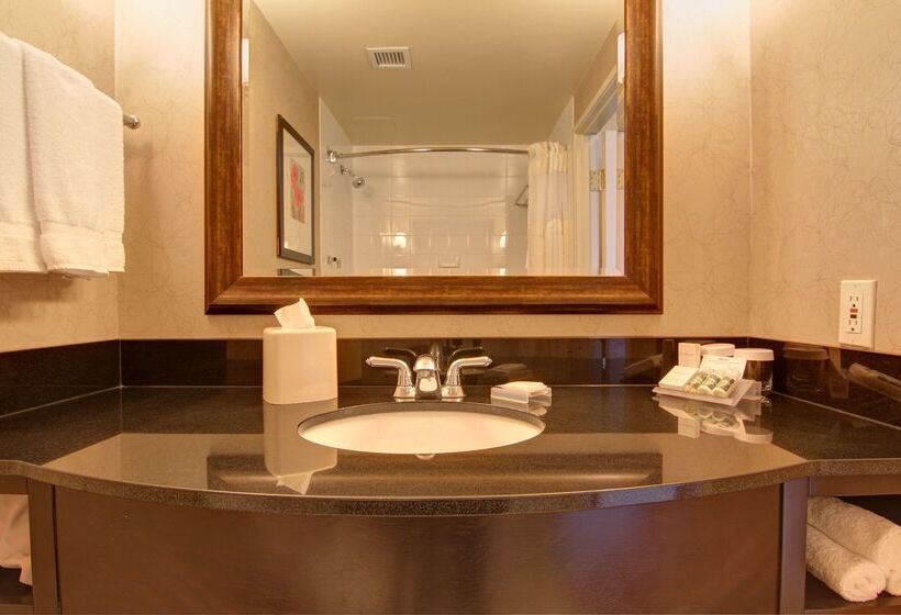 בית מלון כפרי Hilton Garden Inn Calgary Airport