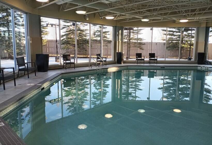 فندق Hilton Garden Inn Calgary Airport