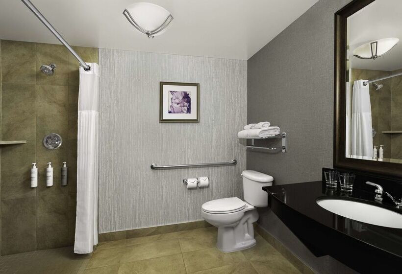 בית מלון כפרי Hilton Garden Inn Calgary Airport