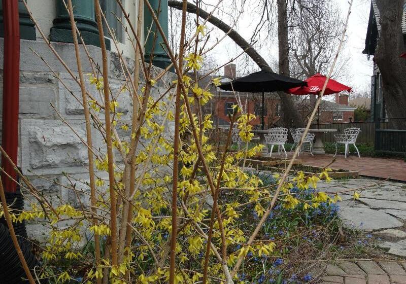 호텔 Hochelaga Inn