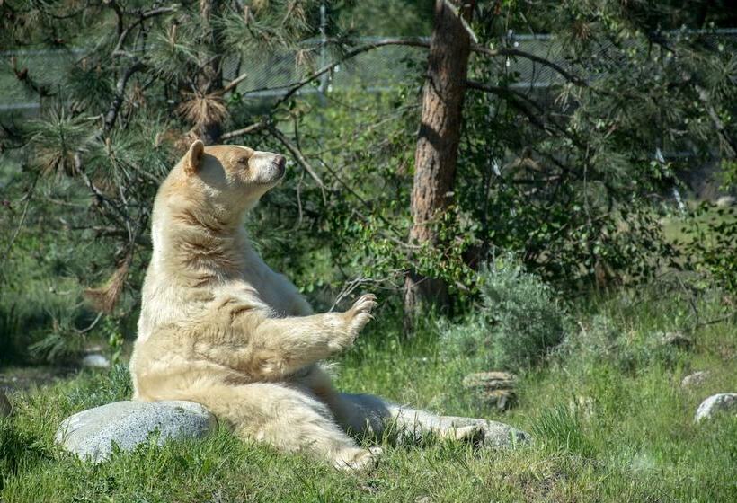 酒店 Holiday Inn Express Kamloops, An Ihg