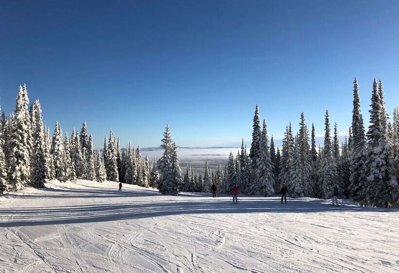 酒店 Holiday Inn Express Kamloops, An Ihg