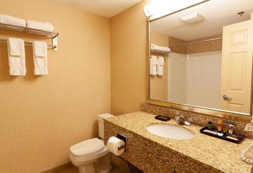 Отель Kelowna & Conference Centre