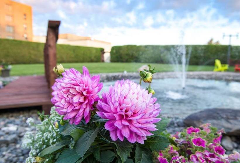 Le Victorin, An Ascend Hotel Collection Member