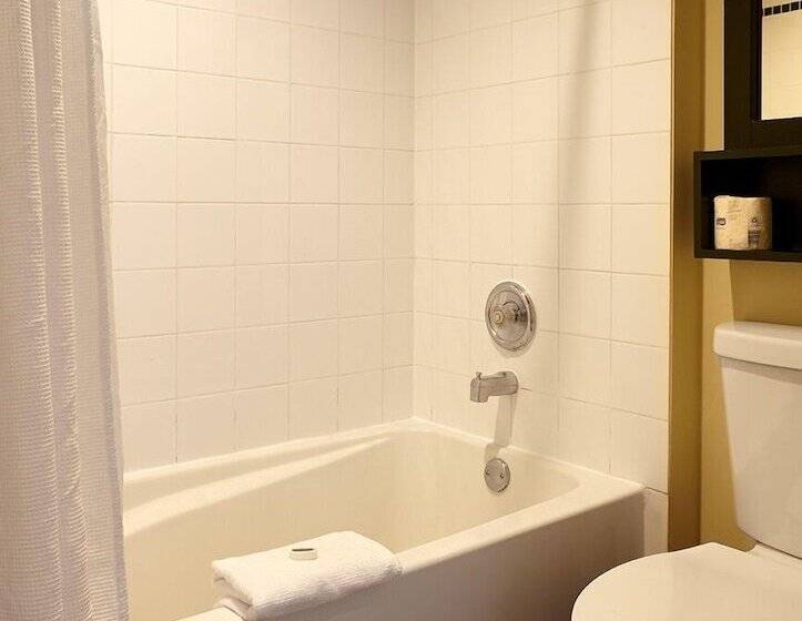 호텔 Middle Beach Lodge