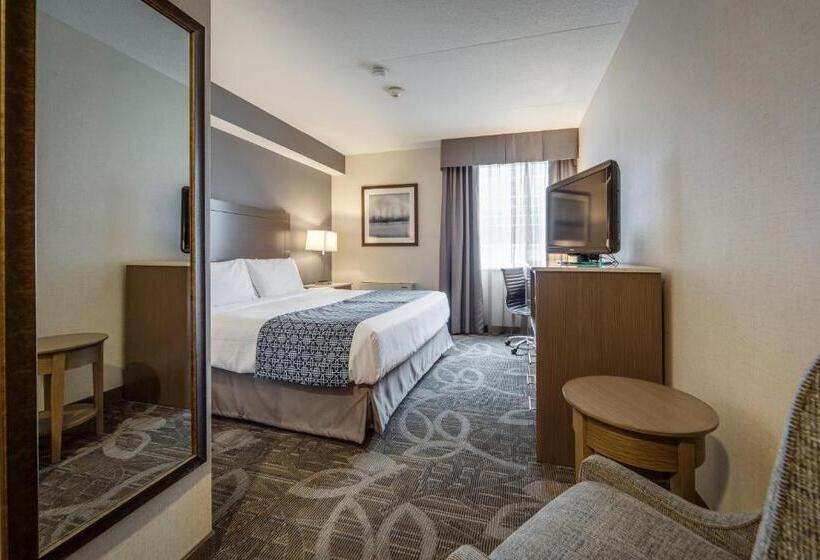 酒店 Monte Carlo Inn Airport Suites