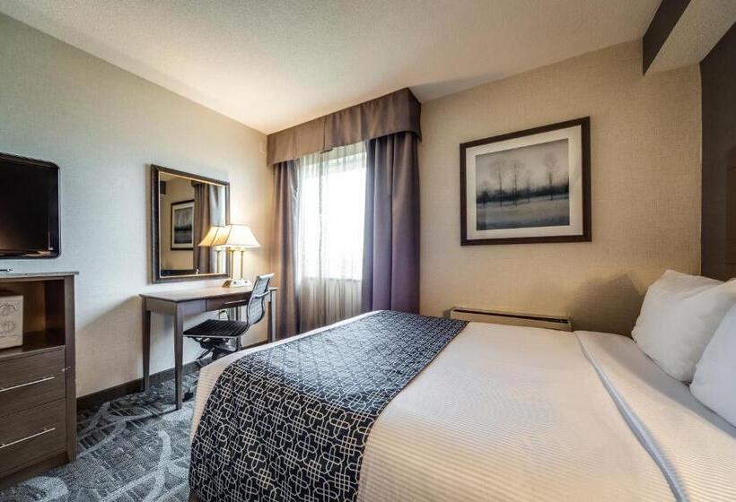 酒店 Monte Carlo Inn Airport Suites