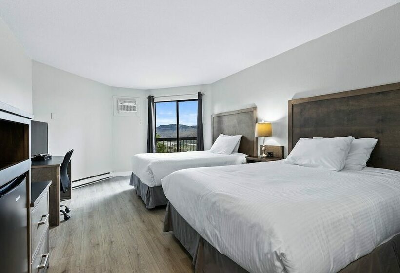 酒店 The Vista Inn