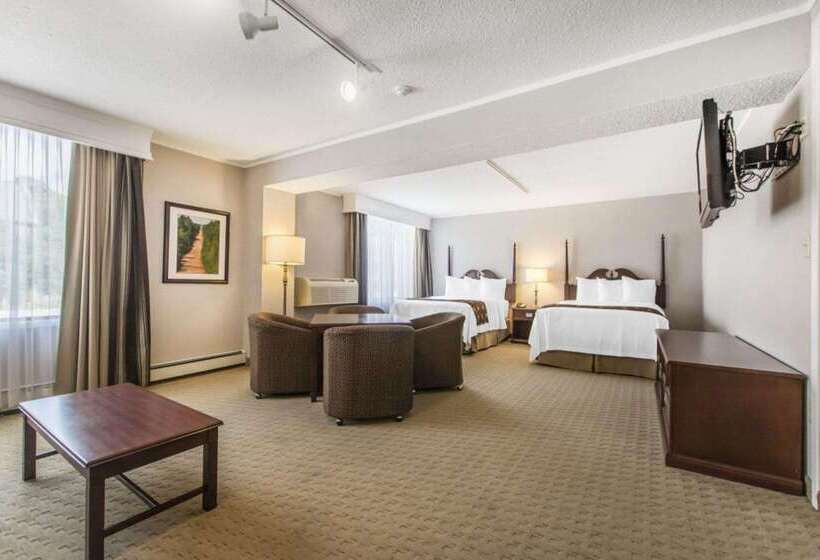 Hotel Quality Inn & Suites Downtown