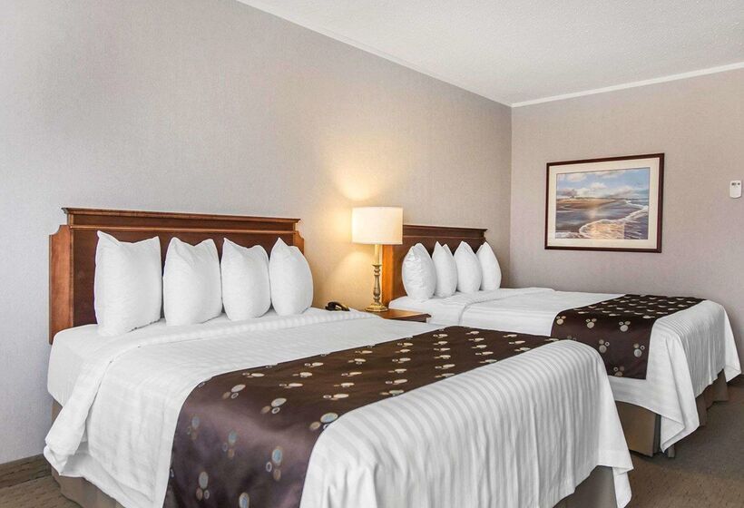 Hotel Quality Inn & Suites Downtown