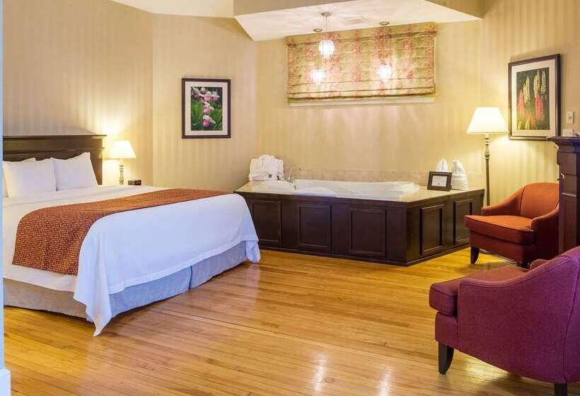 Hotel Quality Inn & Suites Downtown