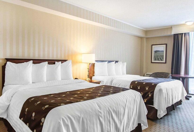 Hotel Quality Inn & Suites Downtown