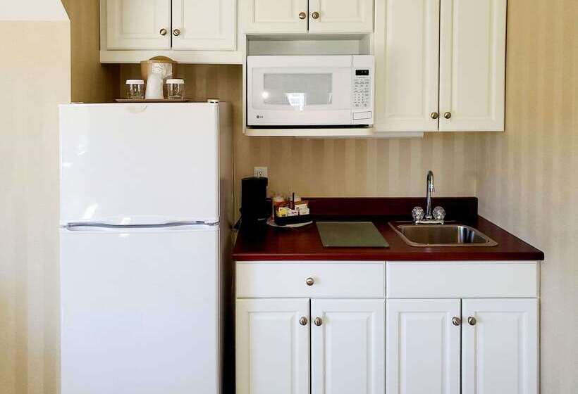 Hotel Quality Inn & Suites Downtown