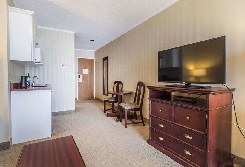 Hotel Quality Inn & Suites Downtown