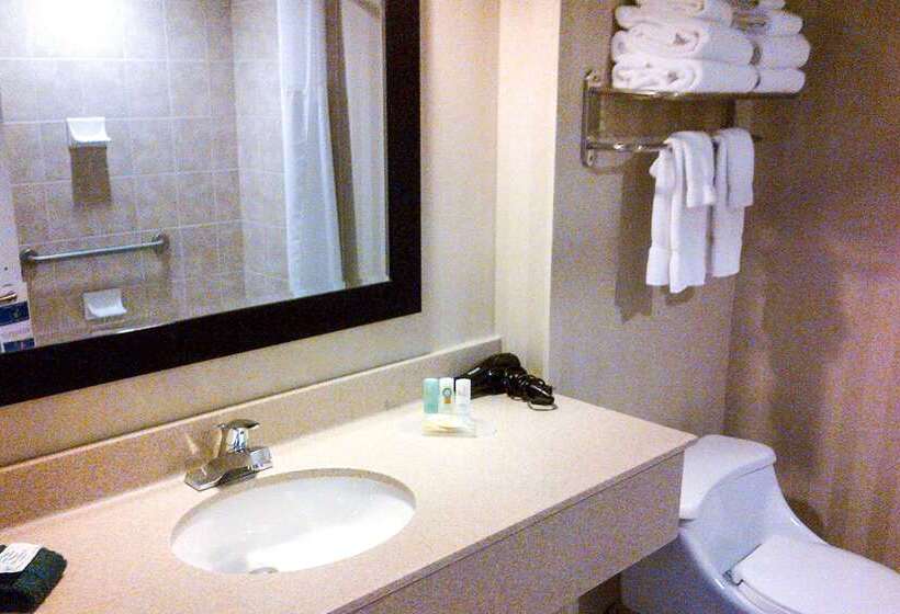 Hotel Quality Inn & Suites Downtown