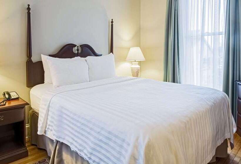 Hotel Quality Inn & Suites Downtown