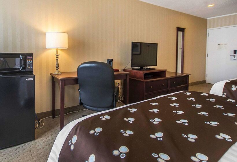 Hotel Quality Inn & Suites Downtown