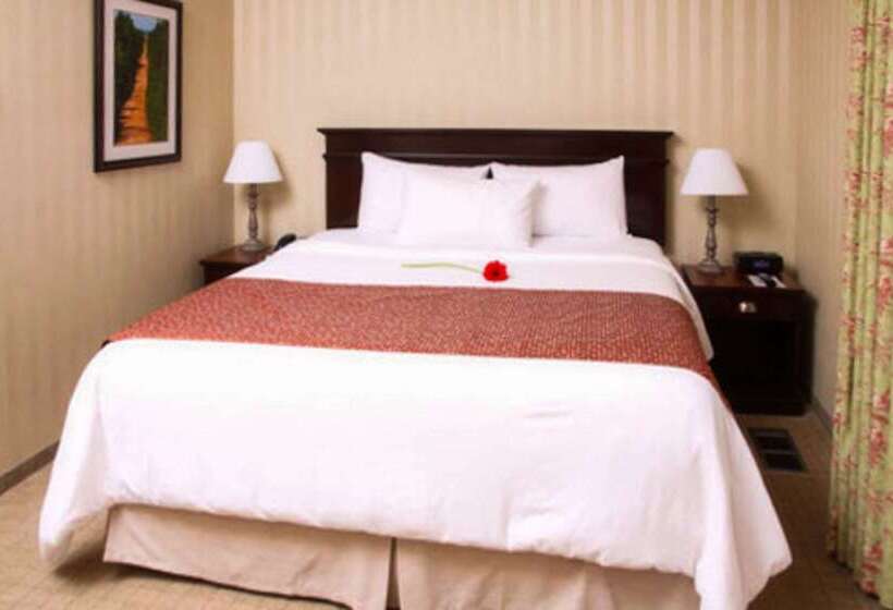 Hotel Quality Inn & Suites Downtown