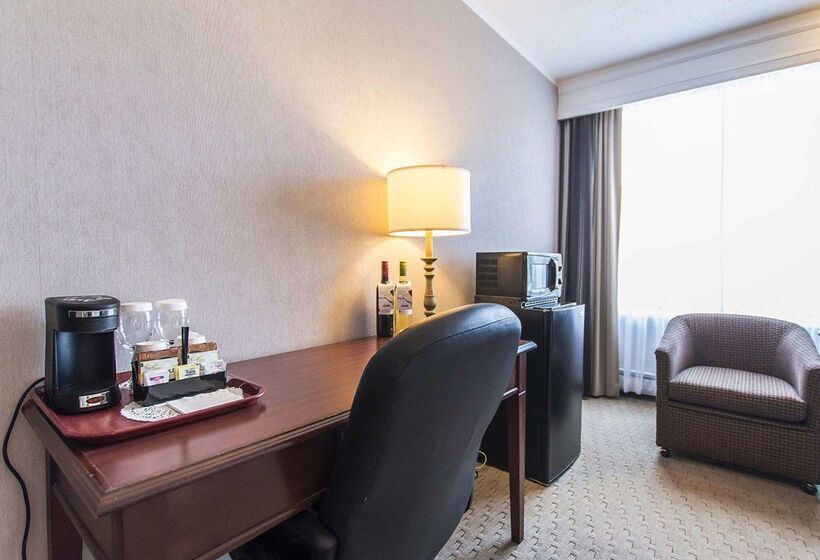 Hotel Quality Inn & Suites Downtown