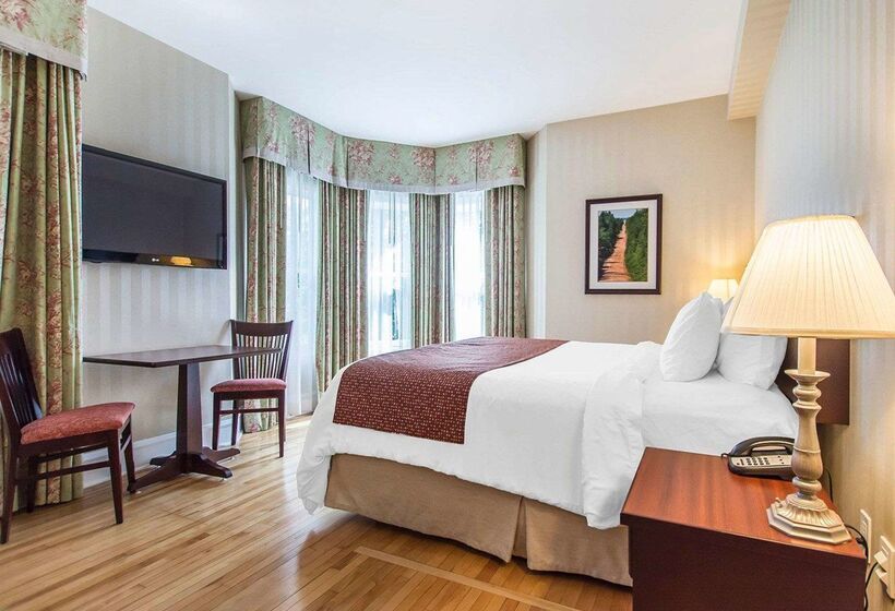 Hotel Quality Inn & Suites Downtown