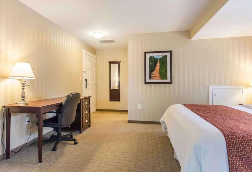 Hotel Quality Inn & Suites Downtown