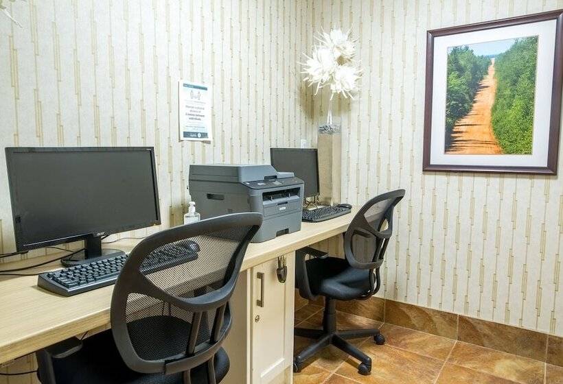 Hotel Quality Inn & Suites Downtown