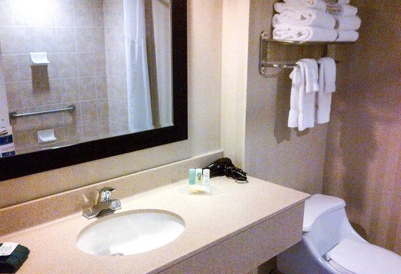 Hotel Quality Inn & Suites Downtown