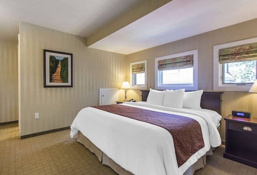 Hotel Quality Inn & Suites Downtown