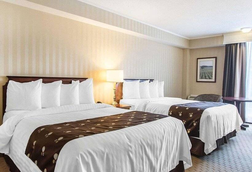 Hotel Quality Inn & Suites Downtown