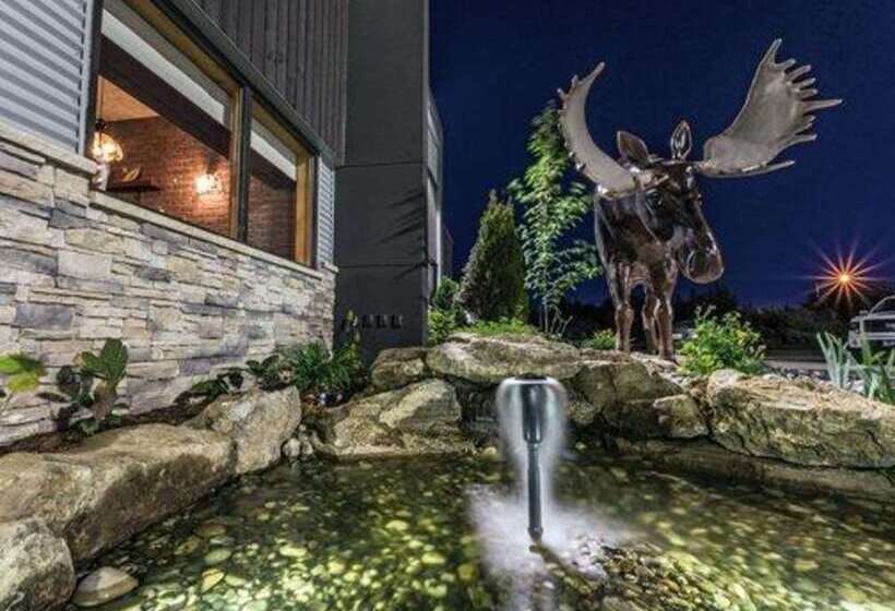 ホテル Quality Inn & Suites