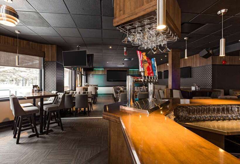 ホテル Quality Inn & Suites