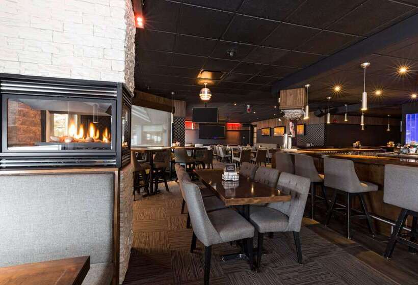 ホテル Quality Inn & Suites