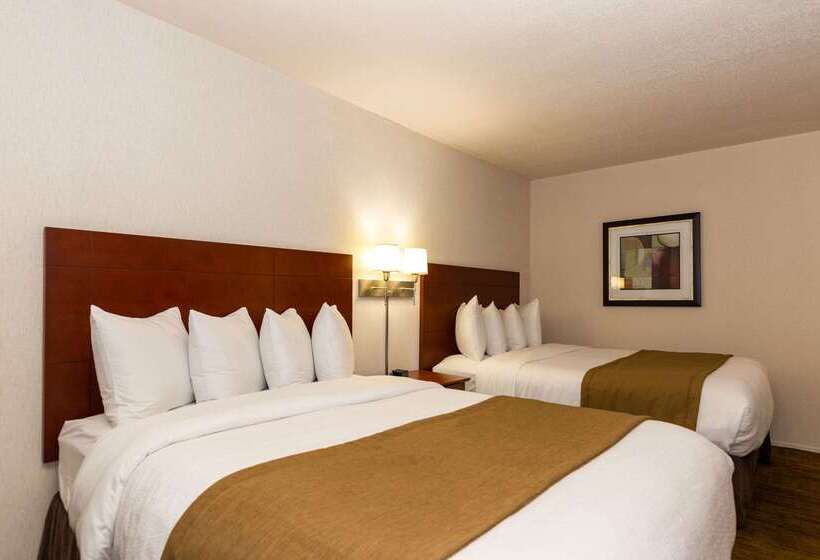 ホテル Quality Inn & Suites