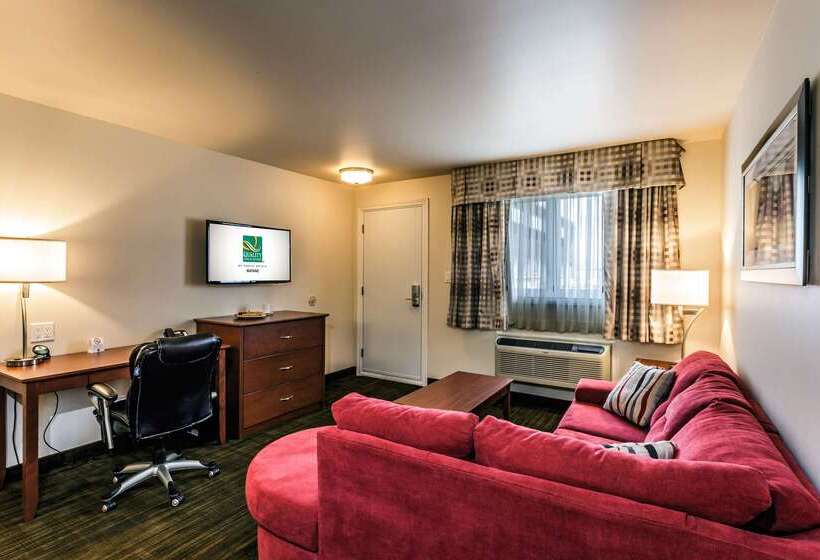 ホテル Quality Inn & Suites