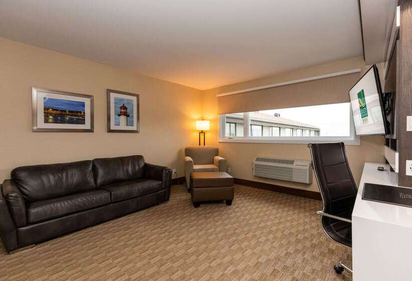 ホテル Quality Inn & Suites