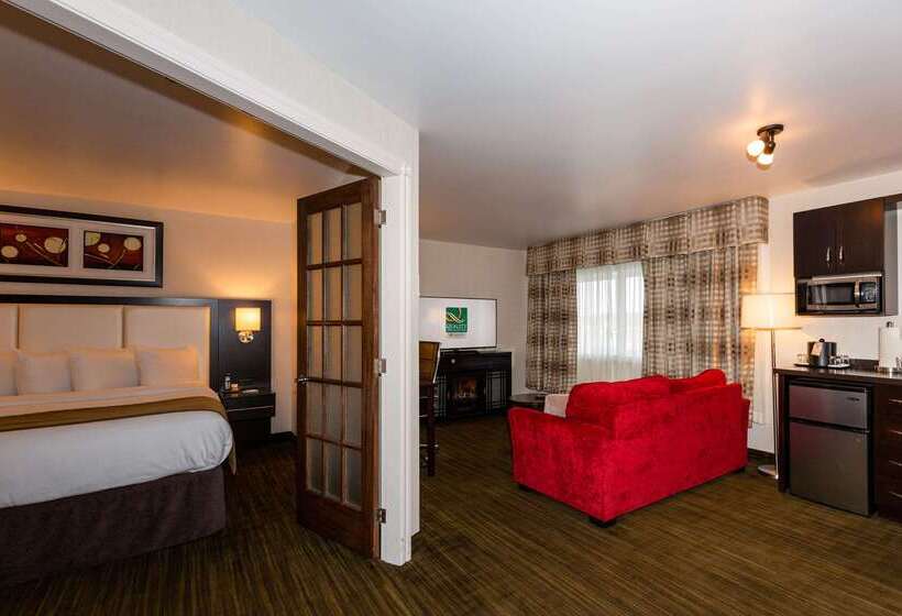 ホテル Quality Inn & Suites