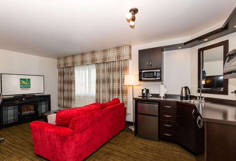 ホテル Quality Inn & Suites