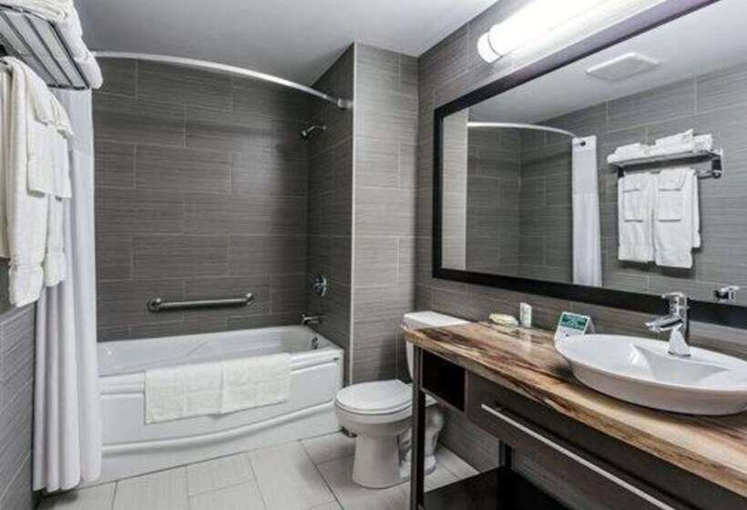 ホテル Quality Inn & Suites