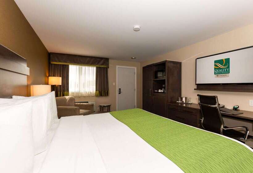 ホテル Quality Inn & Suites