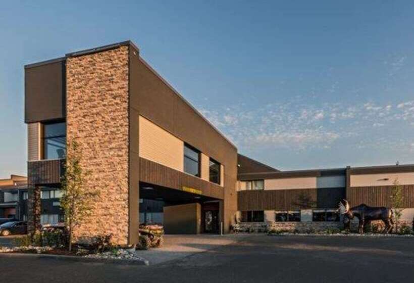 ホテル Quality Inn & Suites