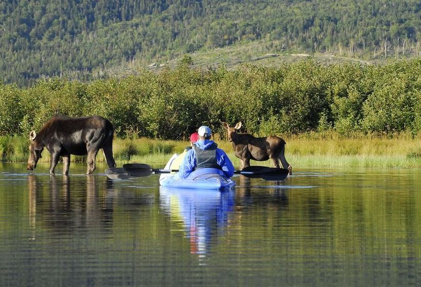 ホテル Quality Inn & Suites