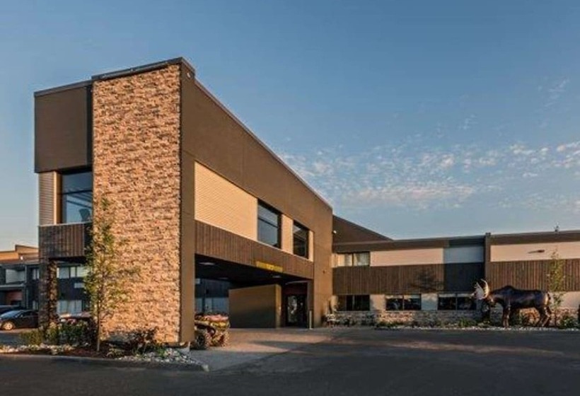 ホテル Quality Inn & Suites