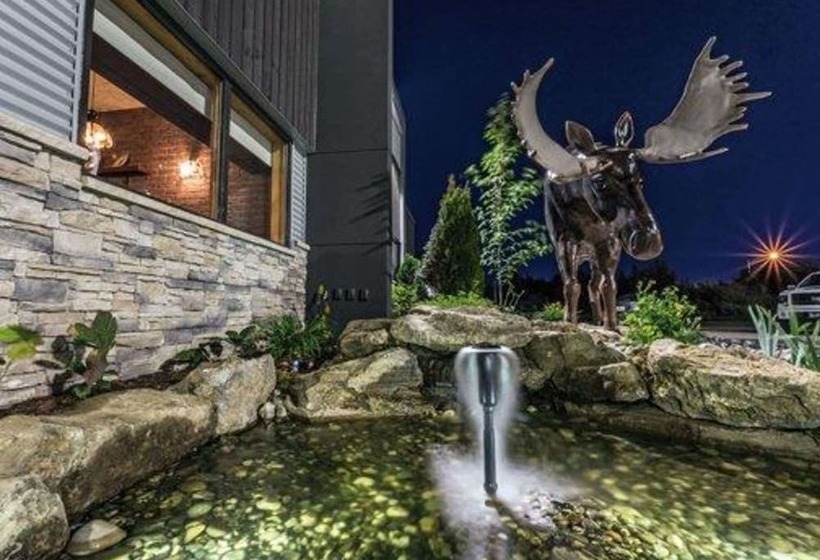 ホテル Quality Inn & Suites