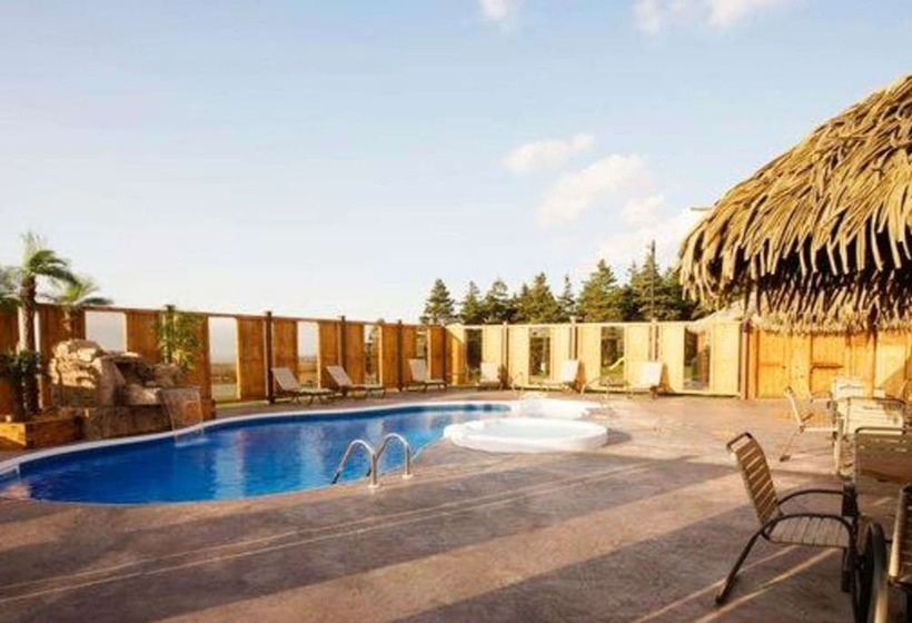 ホテル Quality Inn & Suites